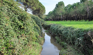 Cassà de la Selva, Riera de Susvalls